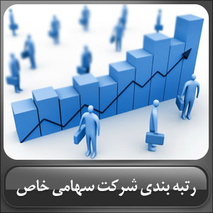 رتبه بندی شرکت سهامی خاص